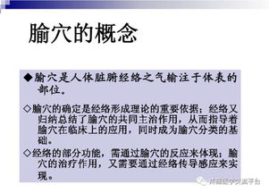 中醫(yī)針灸 精品建議與使用收藏指南