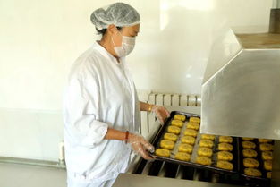 關注食品安全 縣工商聯攜手走進呂哥食品廠